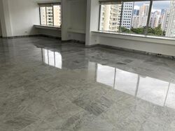Jervois View (D10), Apartment #475102391
